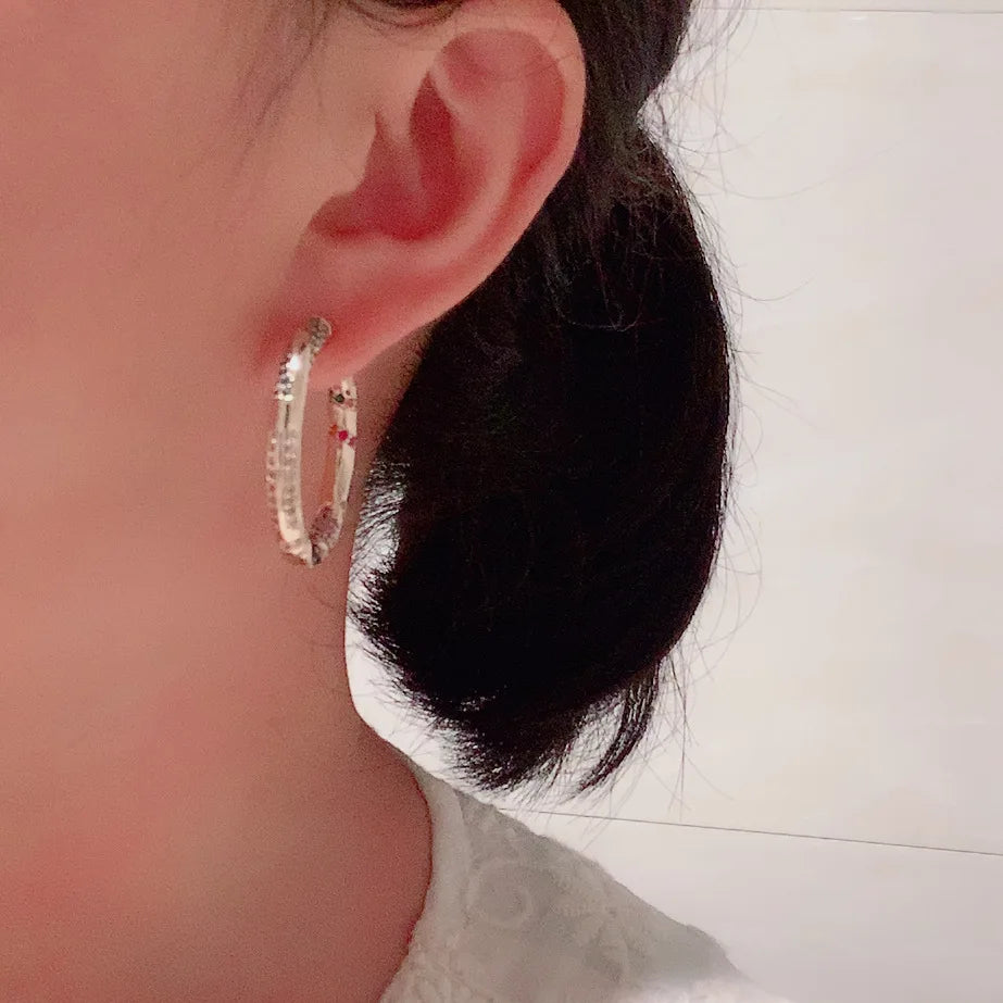 Luxury Fashion Rainbow Zircon Hoop Earrings for Women for Gifts